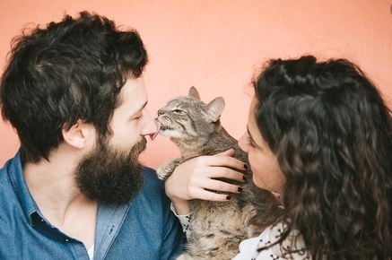 Защо котките ни целуват?